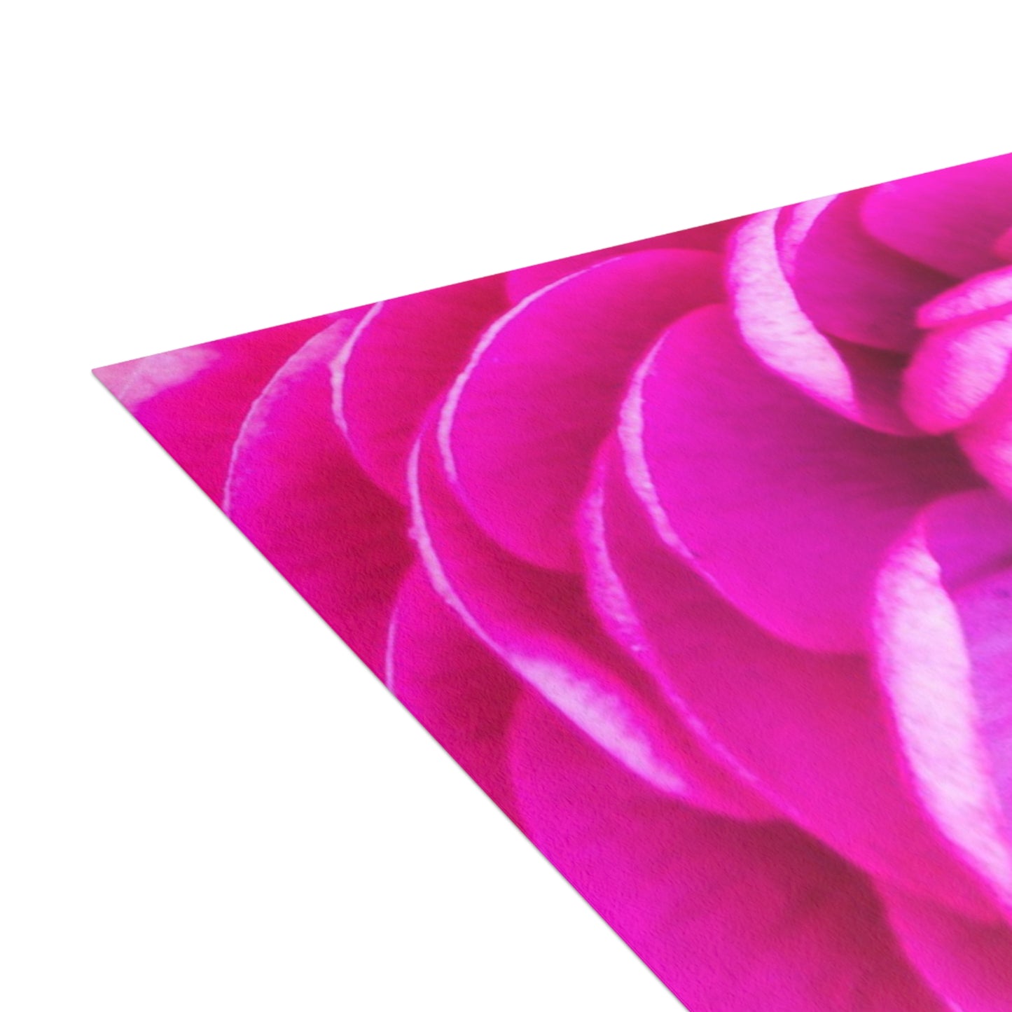Blush Rose Postcard Bundles (envelopes included) Pink Custom Unfolded Greeting Cards Horizontal and Vertical Orientation