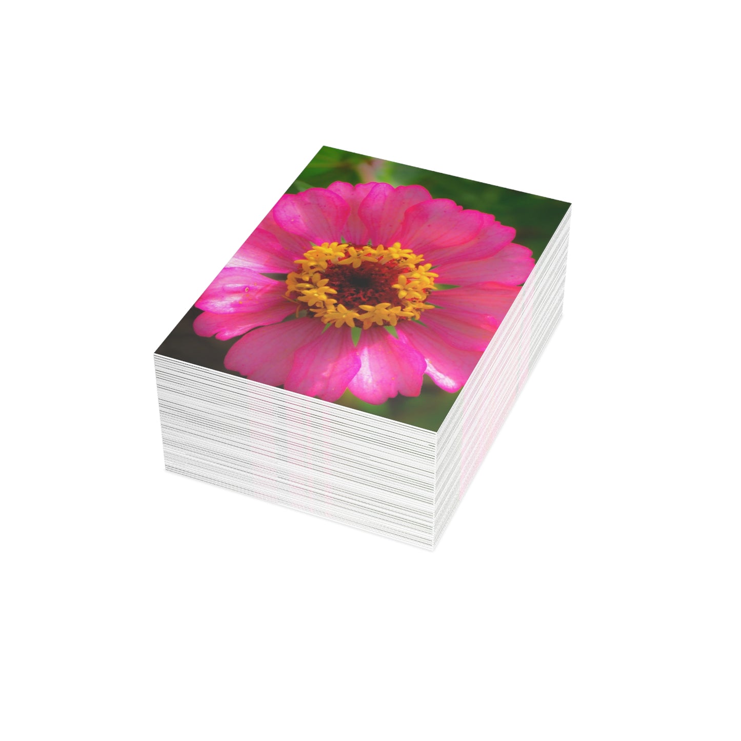 Perfect Perfection Greeting Card Bundles (envelopes included) Pink Floral Greeting Card Bundles Custom Unfolded Greeting Cards