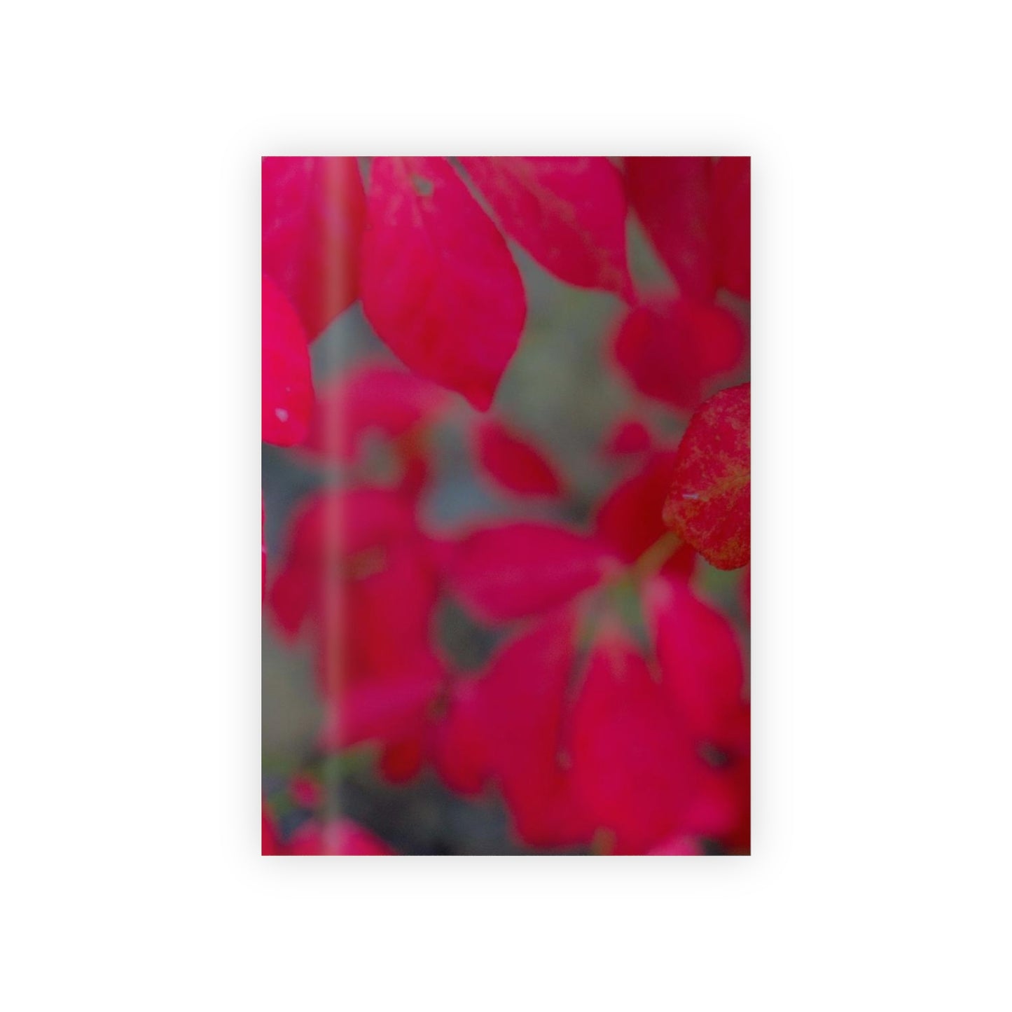 Beautifully Serene Floral Gift Wrapping Paper Roll| 1pc Gift-wrapping Paper Rolls|Holiday| 95gsm Satin Finish Sustainably Sourced|Recyclable