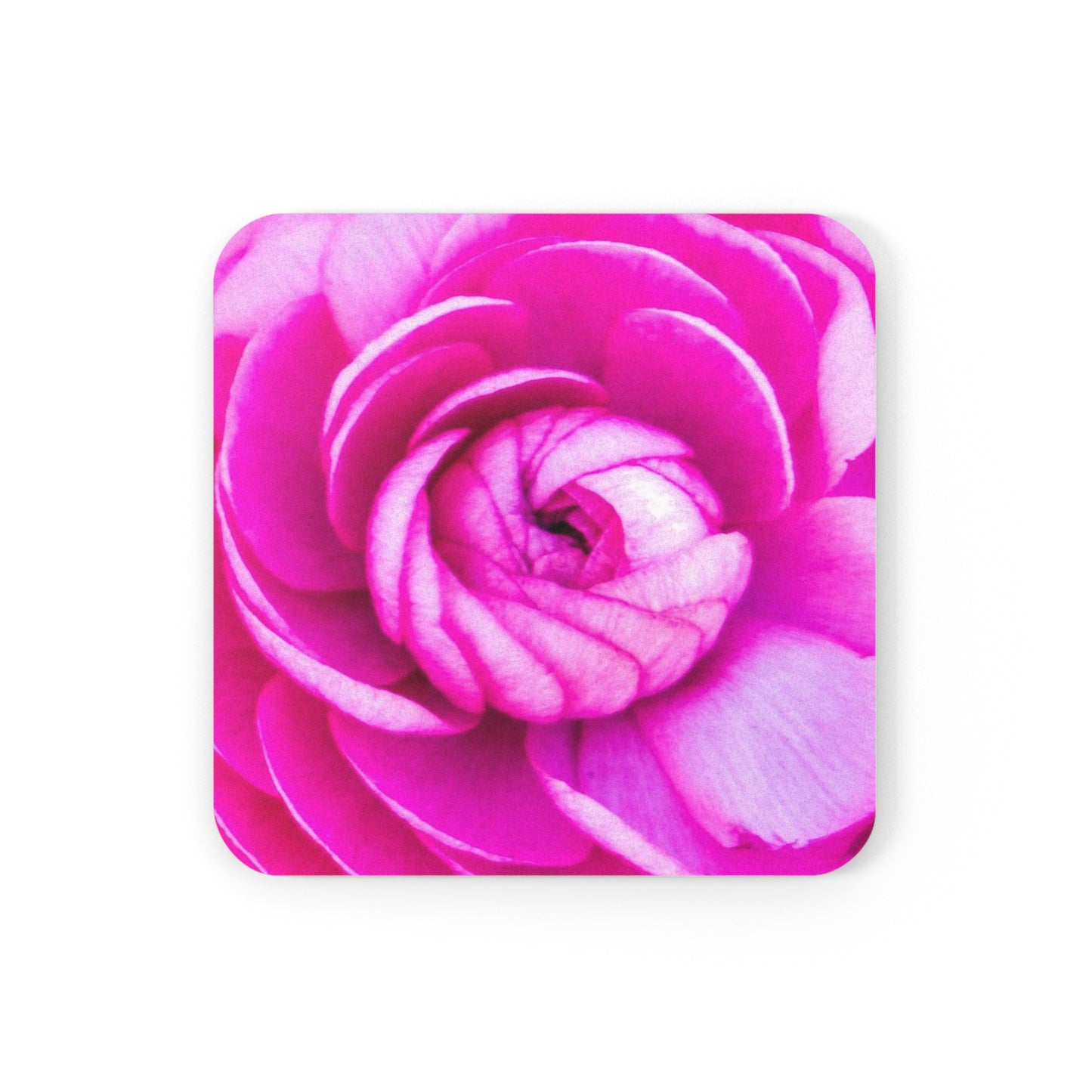 Rose Blush Cork Back Coaster Pink Stylish Floral Coaster Housewarming Gift