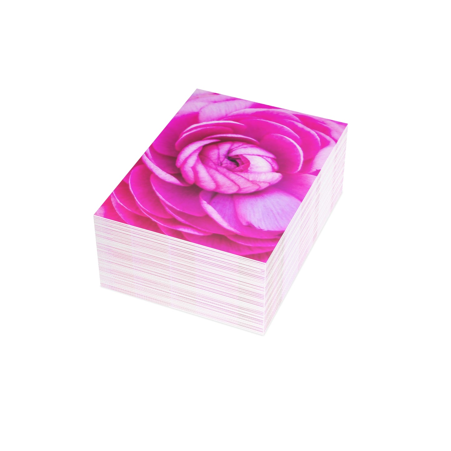 Blush Rose Postcard Bundles (envelopes included) Pink Custom Unfolded Greeting Cards Horizontal and Vertical Orientation