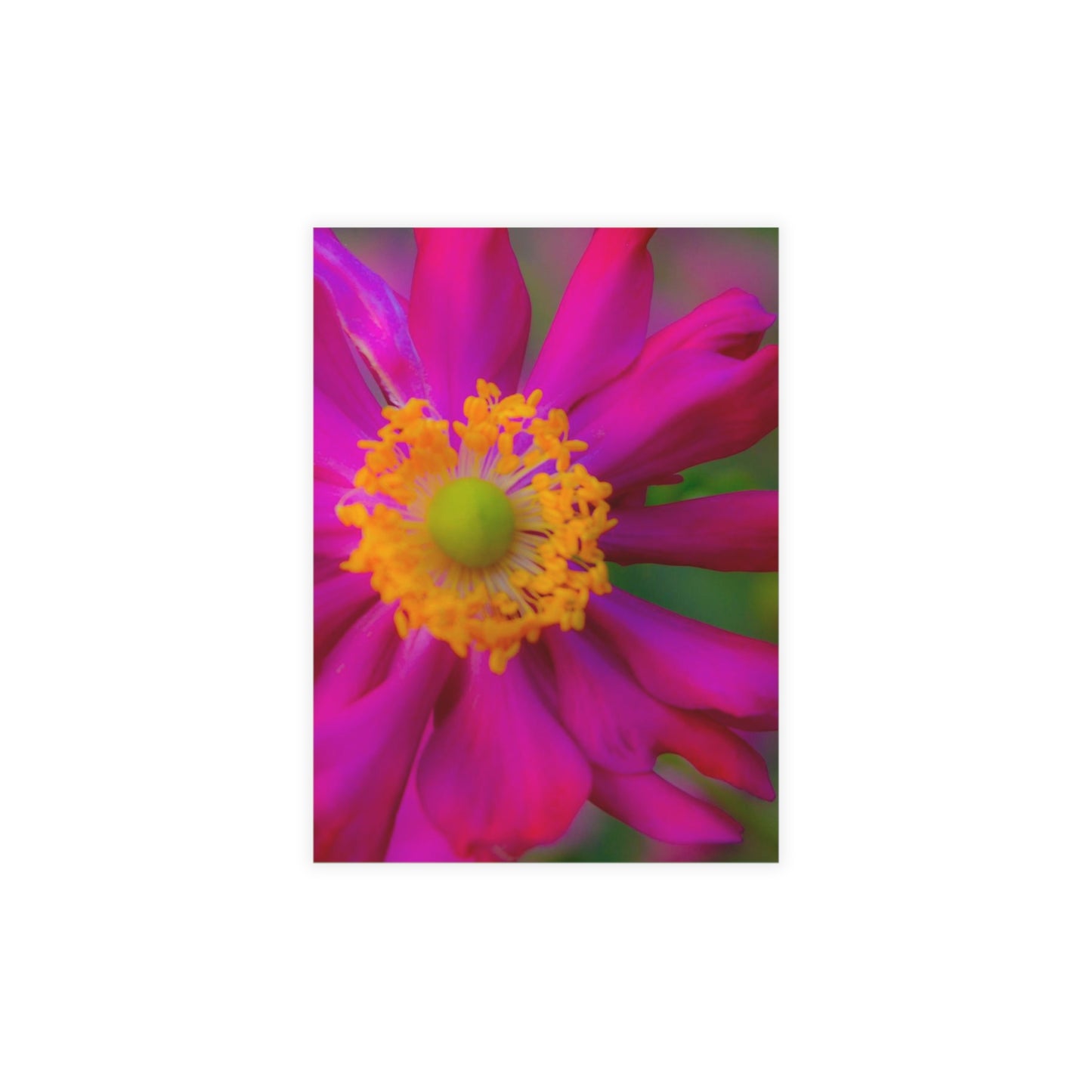 Pastel Flourish Postcard Bundles (envelopes included) Floral Custom Unfolded Greeting Cards Horizontal and Vertical Orientation Cards