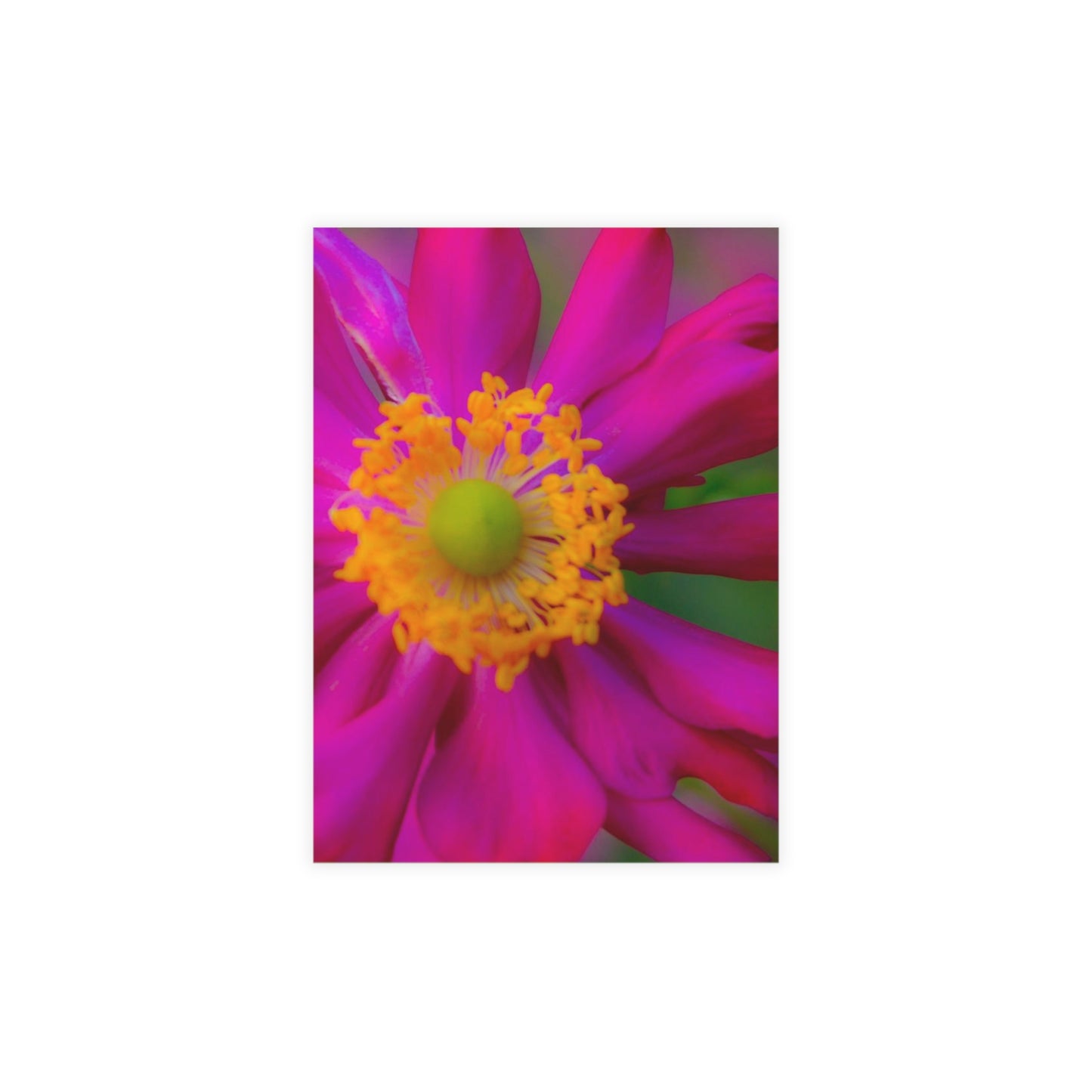 Pastel Flourish Postcard Bundles (envelopes included) Floral Custom Unfolded Greeting Cards Horizontal and Vertical Orientation Cards