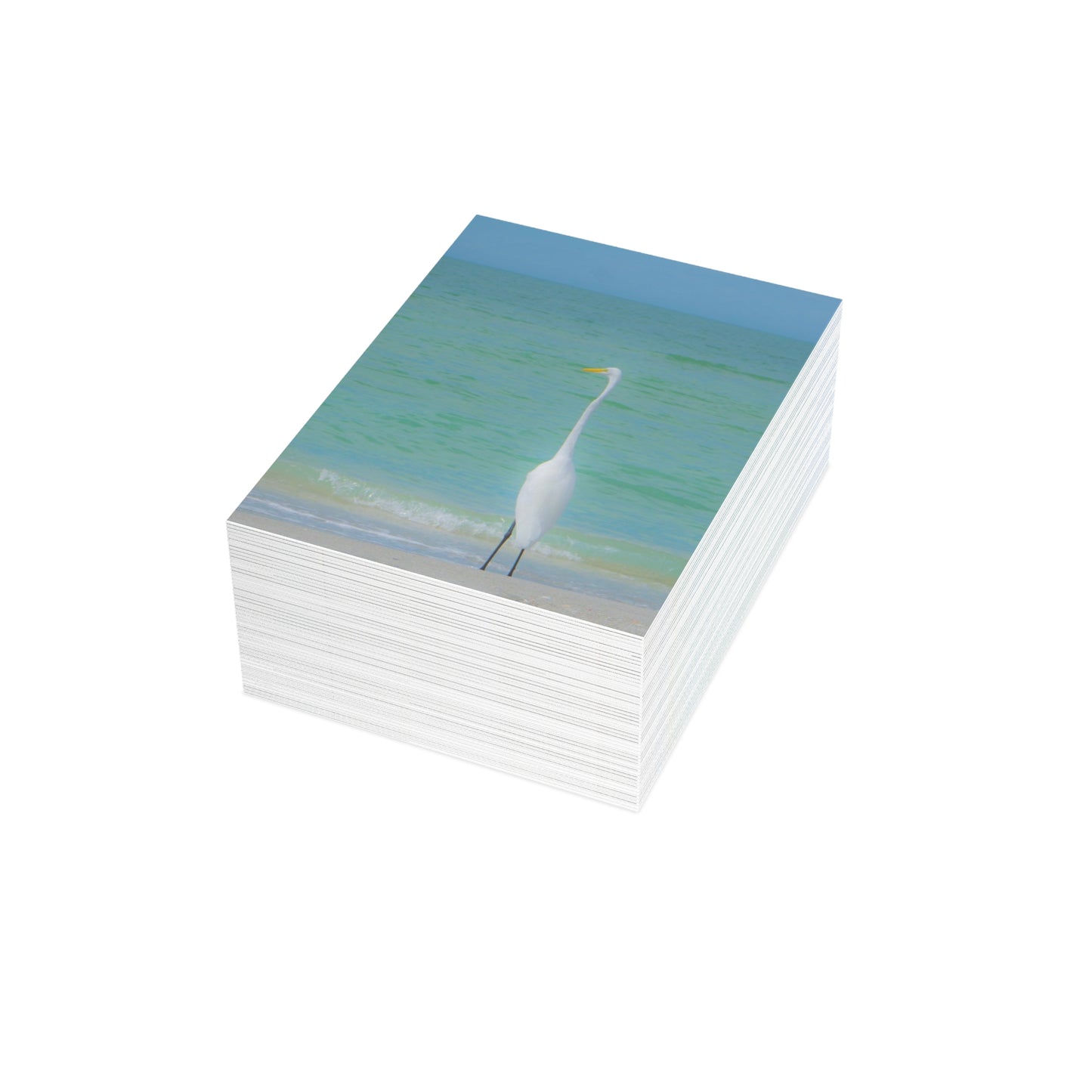 Snow Bird Crane Greeting Card Bundles (envelopes included) | Custom Greeting Cards | Personalized Greeting Card Options | Horizontal and Vertical Orientation Cards| Greeting Card Bundles