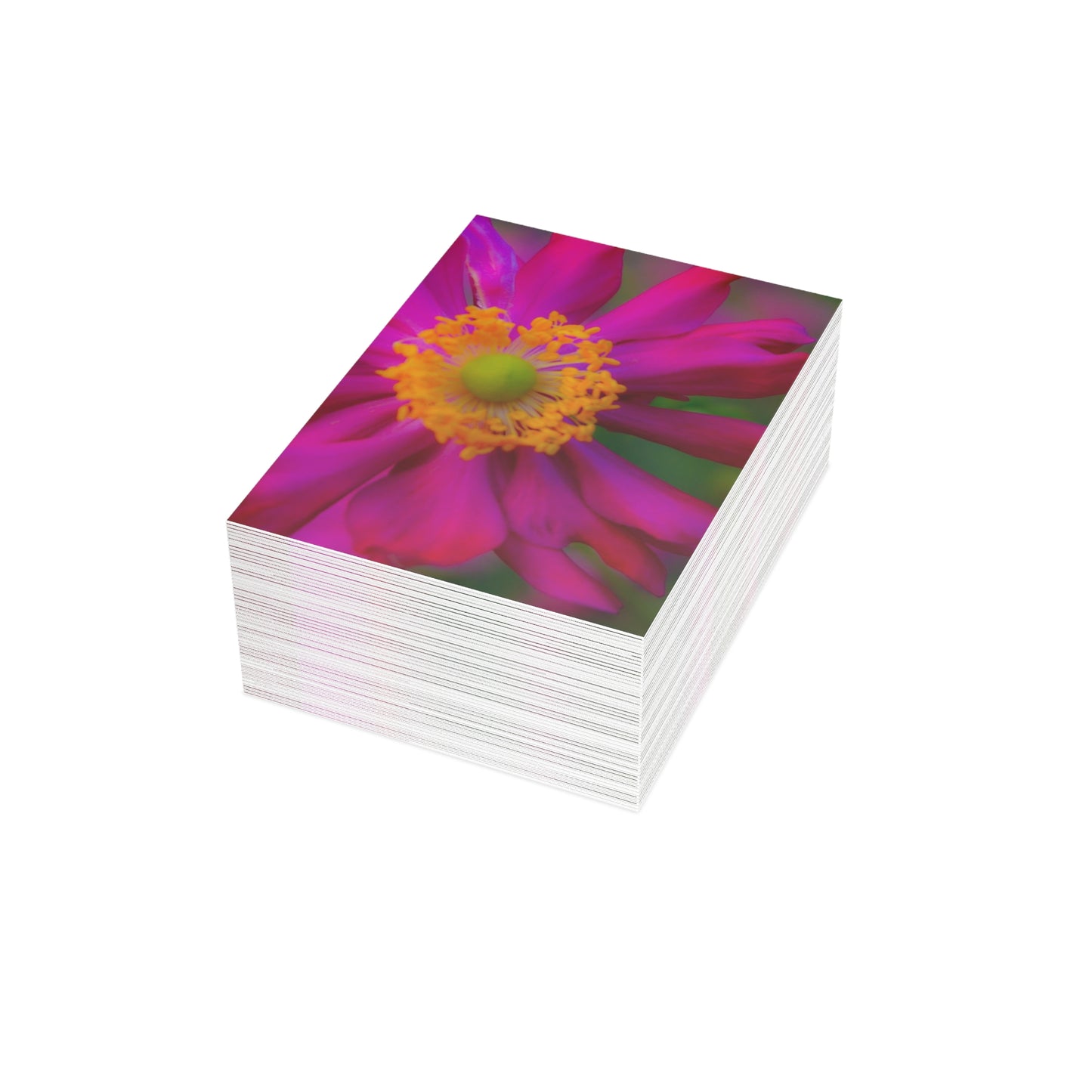 Pastel Flourish Postcard Bundles (envelopes included) Floral Custom Unfolded Greeting Cards Horizontal and Vertical Orientation Cards