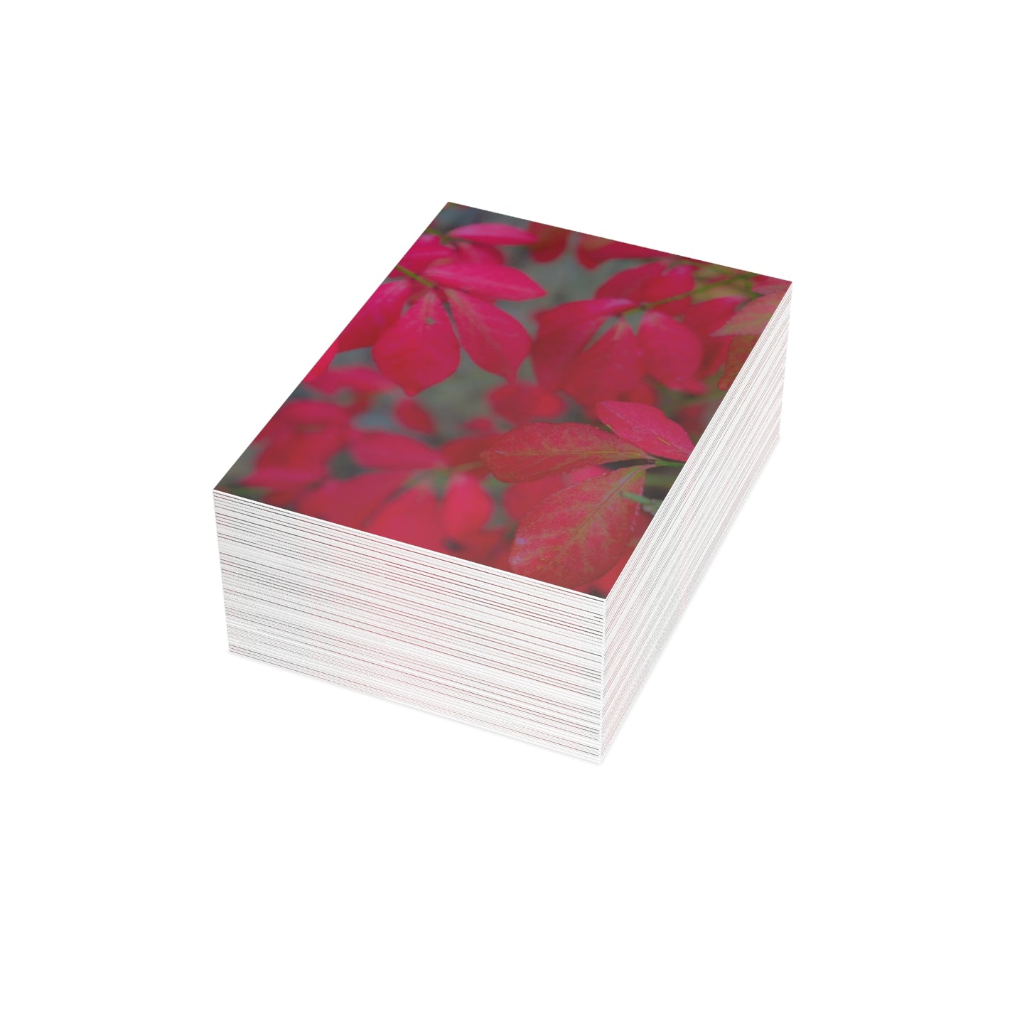 Essence of Lilac Greeting Card Bundles (envelopes included) Floral Greeting Card Bundles Custom Cards Personalized Greeting Card Options |