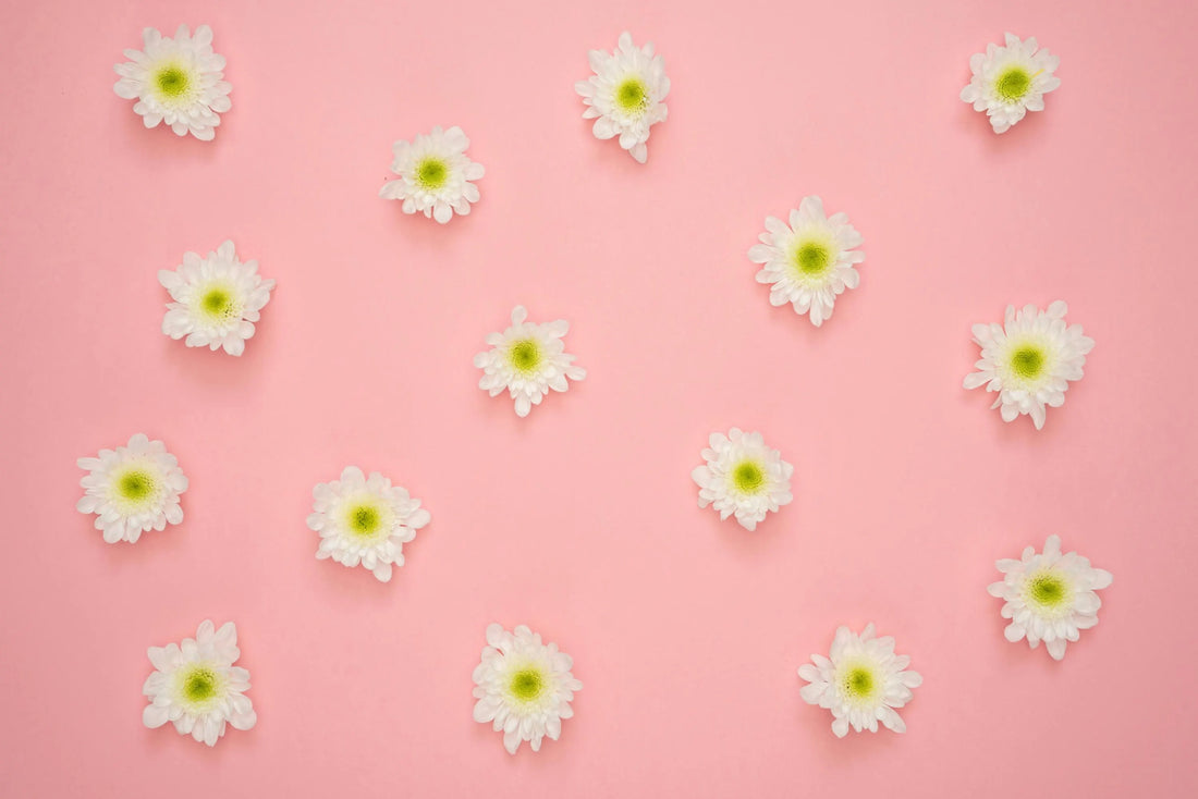 Discover Nature-Inspired Yoga Wear: Joy Garafola’s Floral & Coastal Collection on Etsy