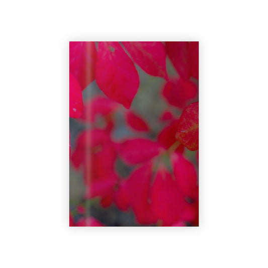 Beautifully Serene Gift Wrapping Paper Roll  Custom-printed Gift-wrapping Paper Rolls 95gsm Satin Finish Sustainably Sourced Recyclable