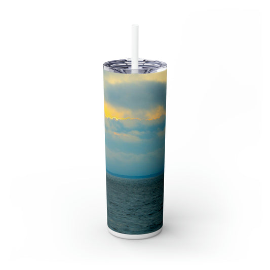 Baby Blues of Nantucket Skinny Tumbler with Straw, 20oz  StainlessTumbler Hot Cold Beverage Unique CompanionTumbler BPA-free Drinkware