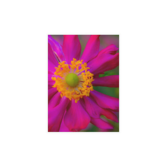 Pastel Flourish Postcard Bundles (envelopes included) Floral Custom Unfolded Greeting Cards Horizontal and Vertical Orientation Cards