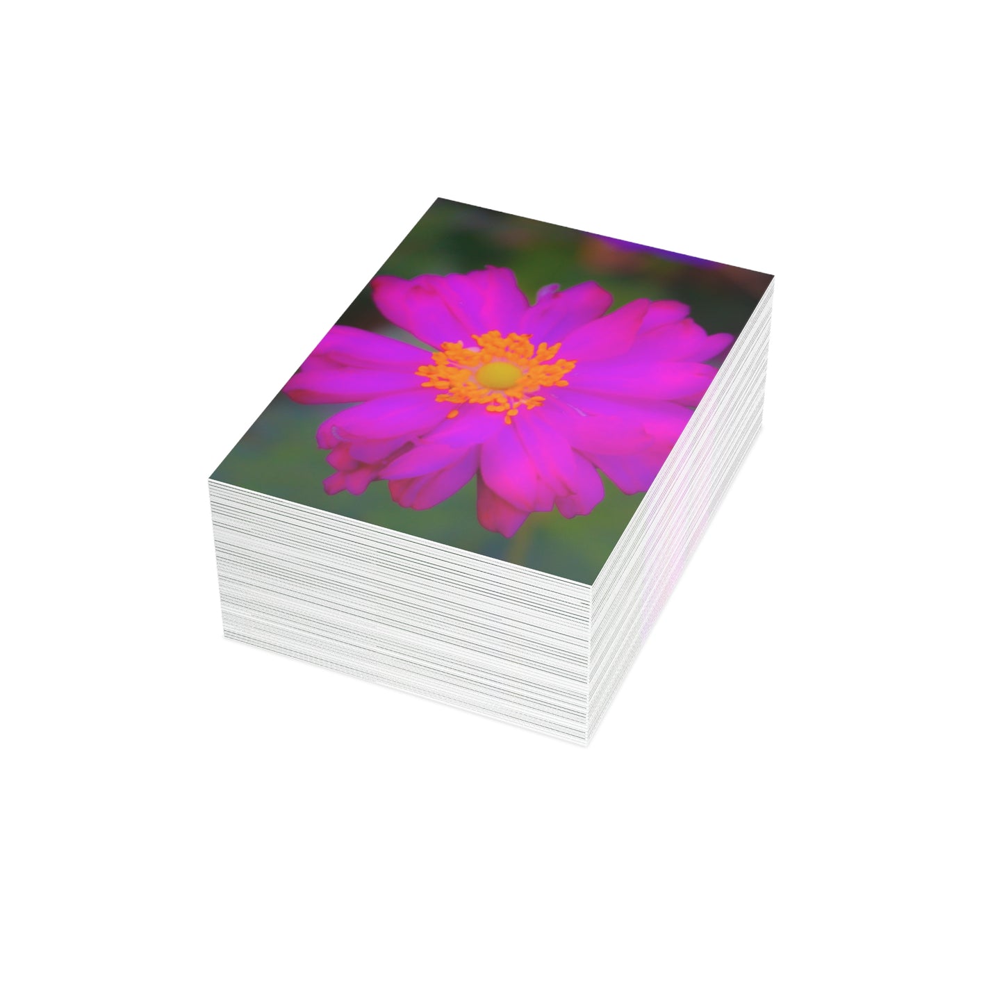 Flower Power Greeting Card Bundles (envelopes included) Floral Greeting Card Bundles Flower Power  Horizontal and Vertical Orientation Card