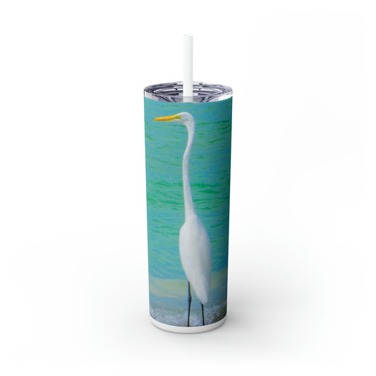 Snow Bird Crane of LBK Skinny Tumbler 20 oz. with Straw Companion Tumbler Stainless Steel Tumbler