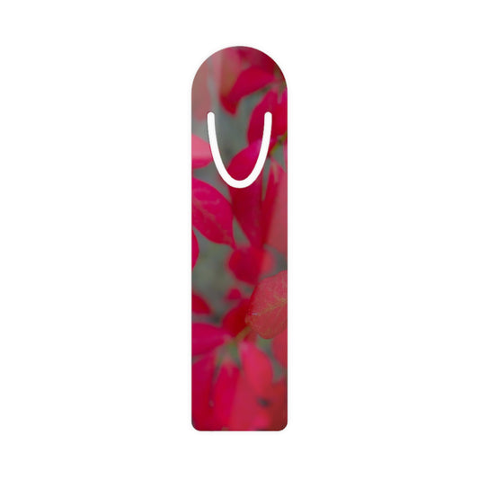 Beautifully Serene  Martha's Vineyard Bookmark Ideal Gift for Book Lovers  Bookmark with Slot to Hold Pages in Place