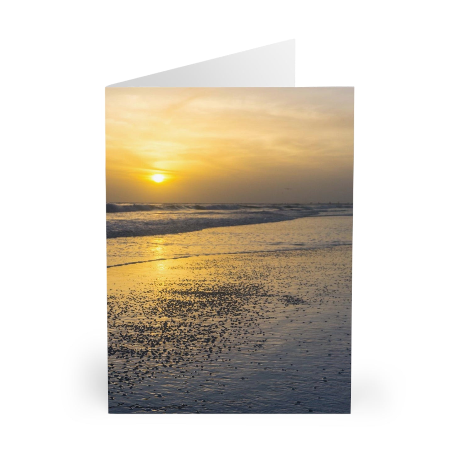 Anna Maria Splendor Greeting Cards (5 Pack) Semi-glossy Finish Cards Matching White Envelopes