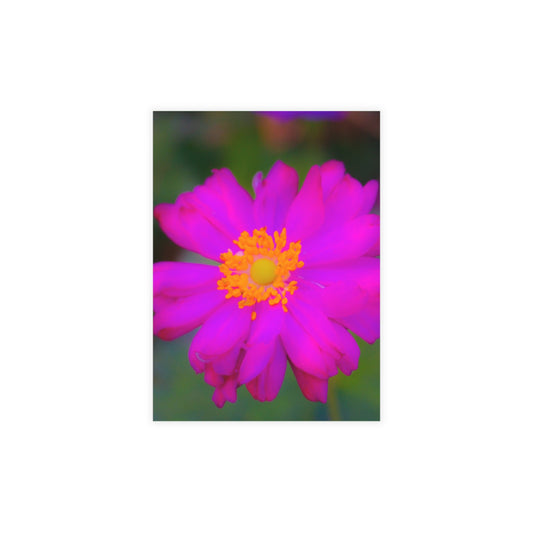 Flower Power Greeting Card Bundles (envelopes included) Floral Greeting Card Bundles Flower Power  Horizontal and Vertical Orientation Card