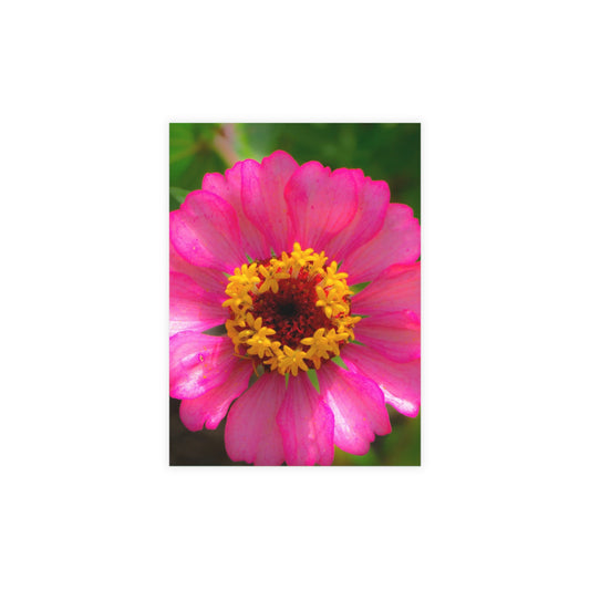 Perfect Perfection Greeting Card Bundles (envelopes included) Pink Floral Greeting Card Bundles  Custom Unfolded Greeting Cards