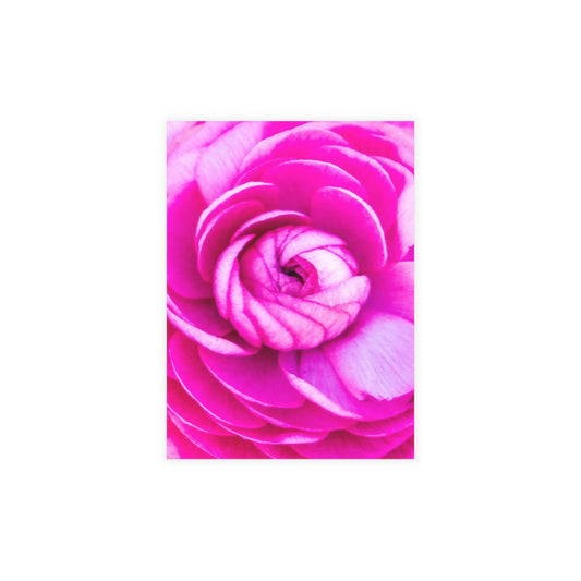Blush Rose Postcard Bundles (envelopes included) Pink Custom Unfolded Greeting Cards Horizontal and Vertical Orientation