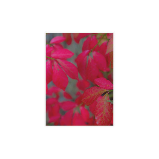 Essence of Lilac Greeting Card Bundles (envelopes included) Floral Greeting Card Bundles Custom Cards Personalized Greeting Card Options |